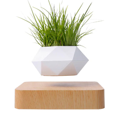 Floating Flower Pot for Home Decor