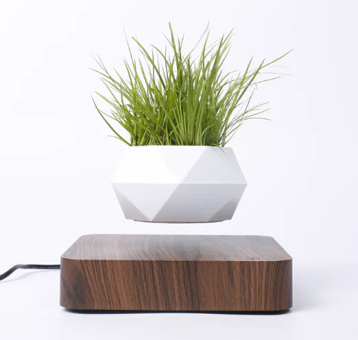 Floating Flower Pot for Home Decor